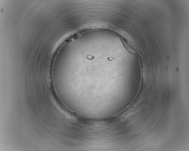 X0000074300438200609151946