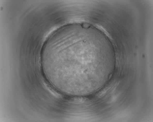 X0000074300439200609151946