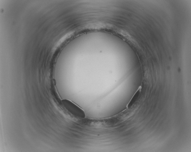 X0000074300440200609151946