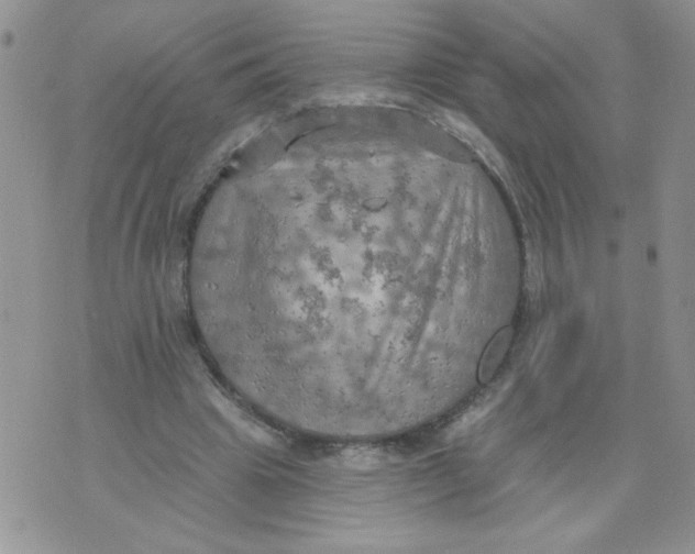 X0000074300441200609151946