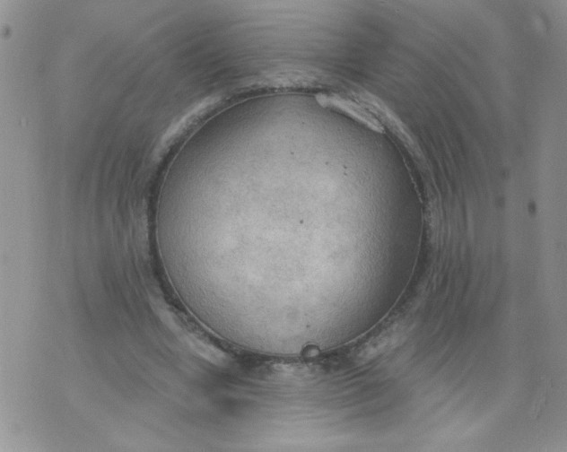 X0000074300442200609151946