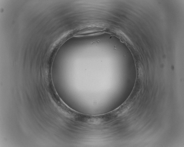 X0000074300444200609151946