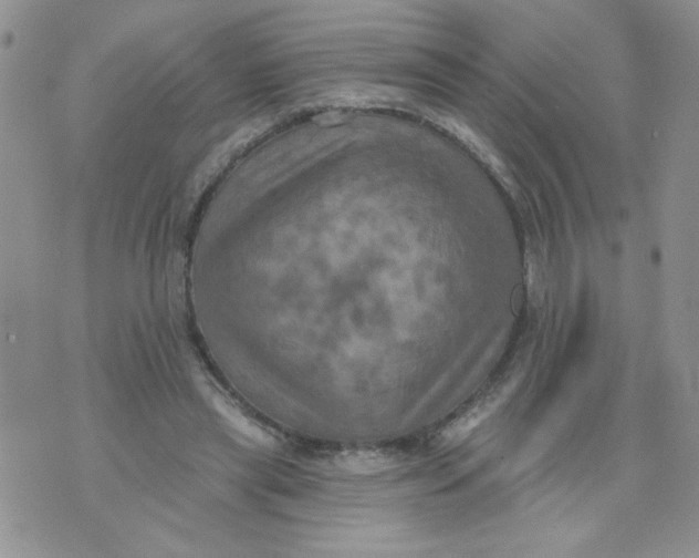 X0000074300445200609151946