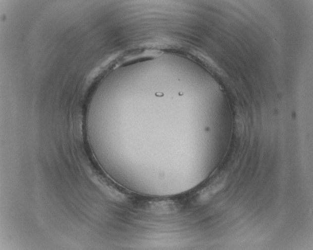 X0000074300446200609151946