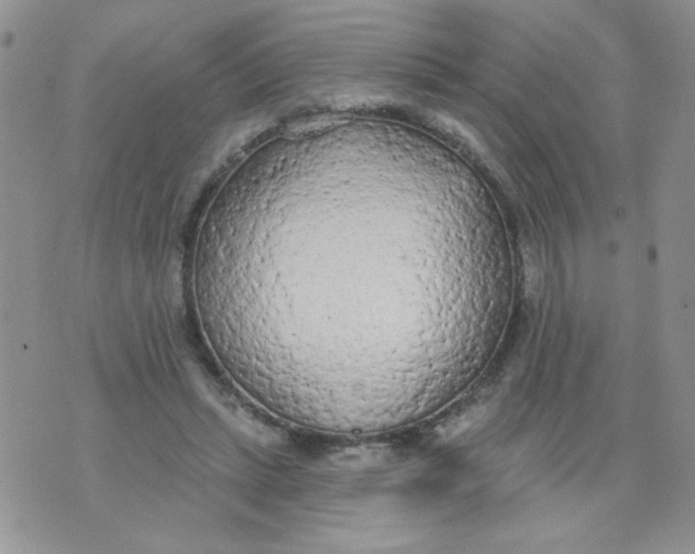 X0000074300447200609151946