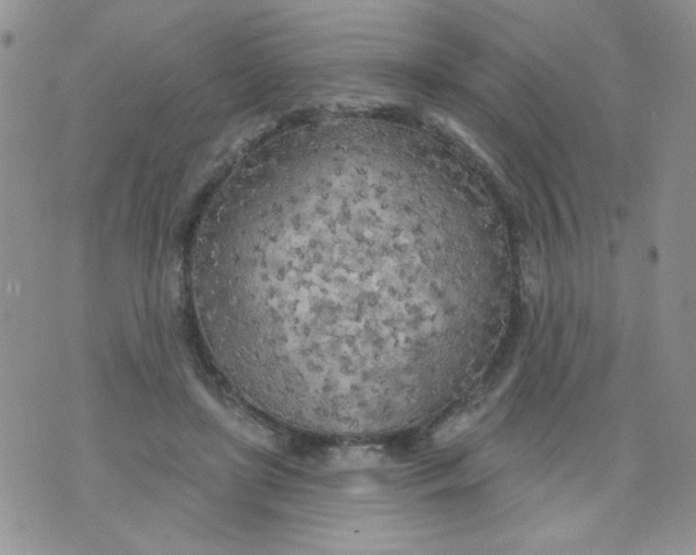 X0000074300451200609151946