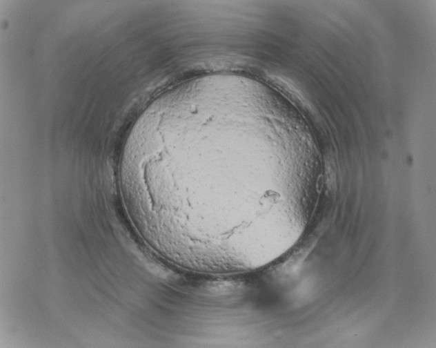 X0000074300453200609151946