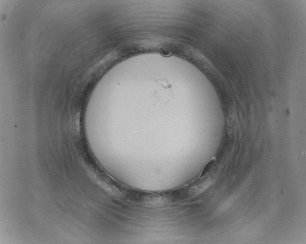 X0000074300454200609151946