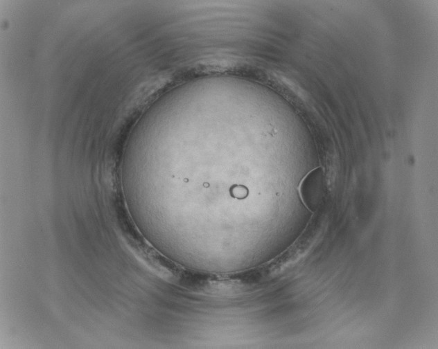 X0000074300455200609151946