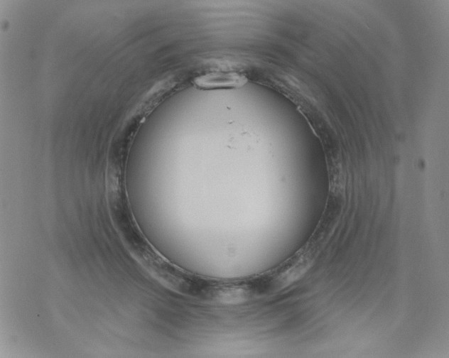 X0000074300456200609151946