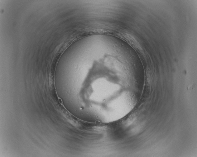 X0000074300457200609151946