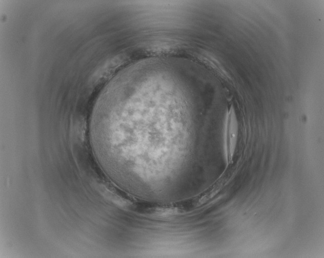 X0000074300458200609151946