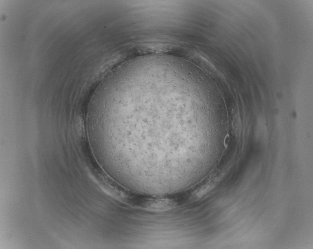 X0000074300459200609151946