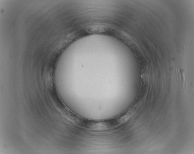 X0000074300460200609151946