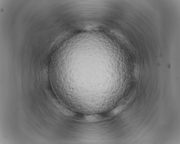 X0000074300461200609151946