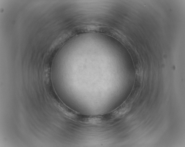 X0000074300462200609151946