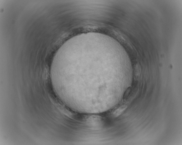 X0000074300463200609151946