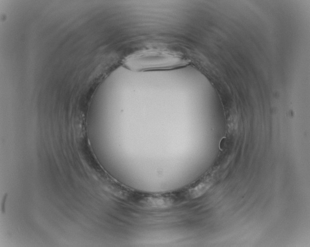 X0000074300464200609151946