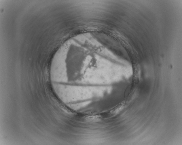 X0000074300465200609151946