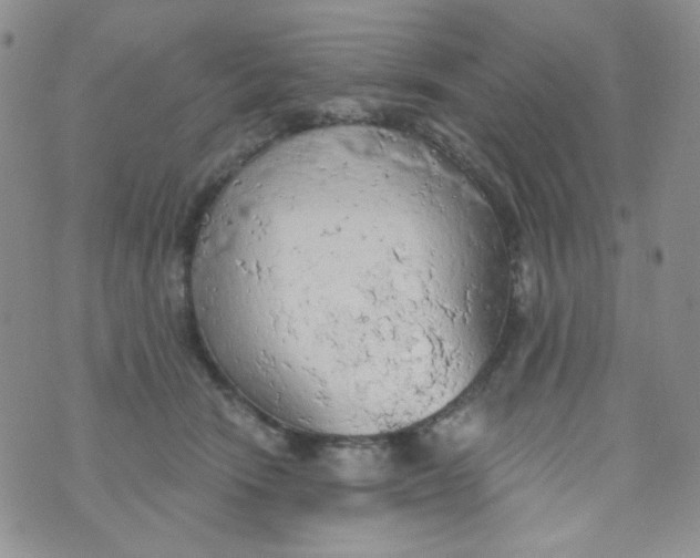 X0000074300466200609151946