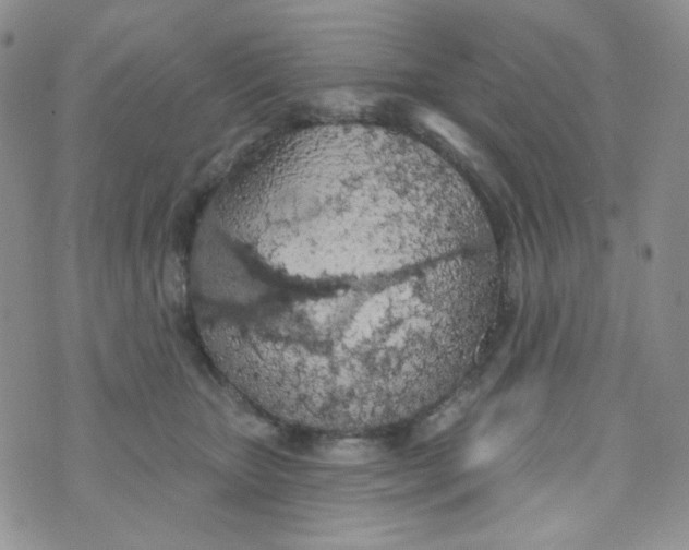 X0000074300467200609151946