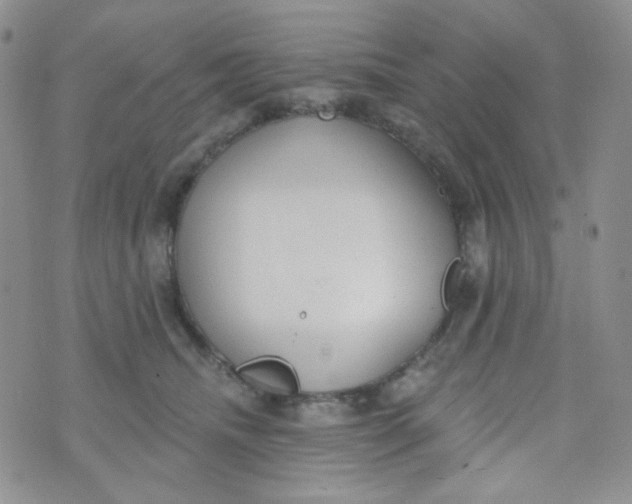 X0000074300468200609151946