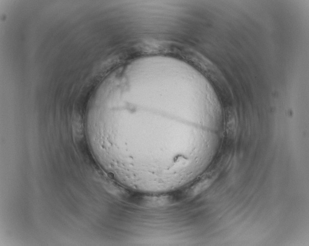 X0000074300469200609151946