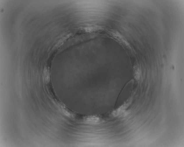 X0000074300471200609151946