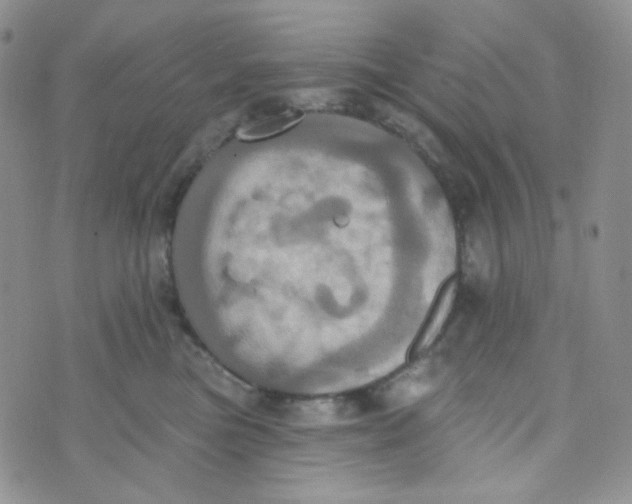 X0000074300473200609151946