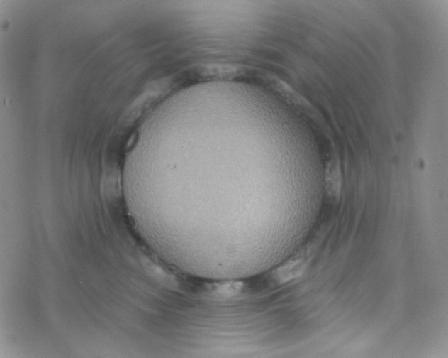 X0000074300474200609151946