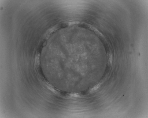 X0000074300475200609151946