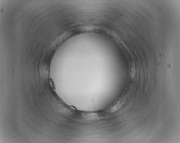 X0000074300476200609151946