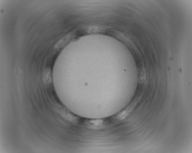 X0000074300478200609151946