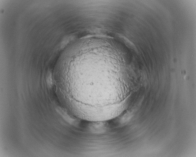 X0000074300479200609151946