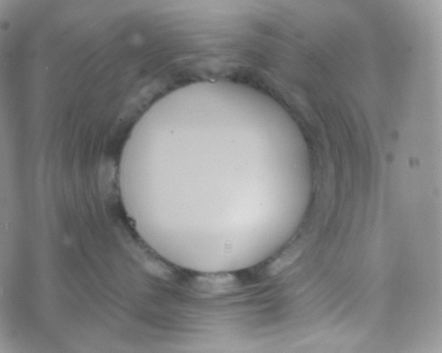 X0000074300480200609151946