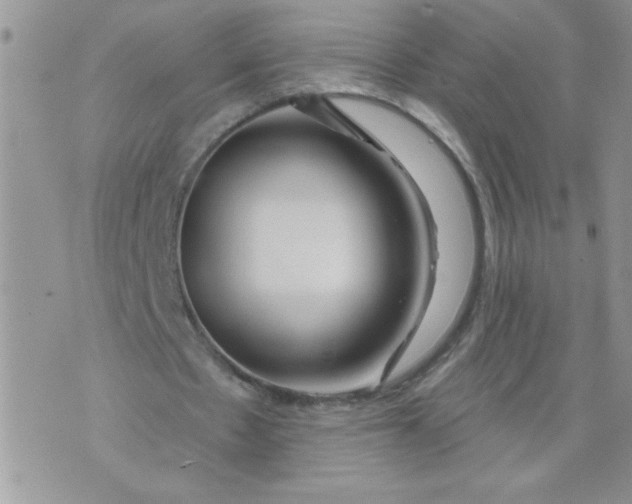 X0000074300481200609151946