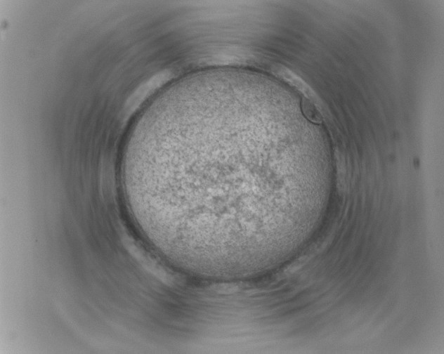 X0000074300482200609151945