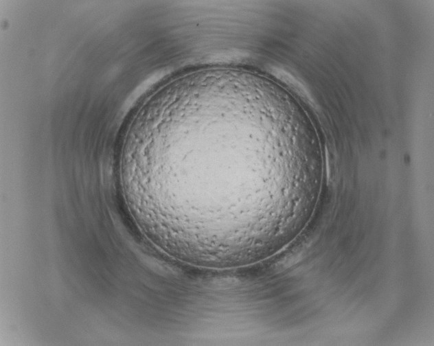 X0000074300483200609151945