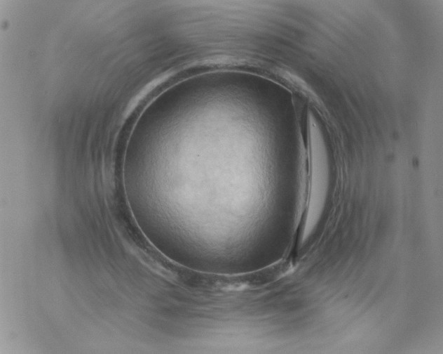 X0000074300484200609151945