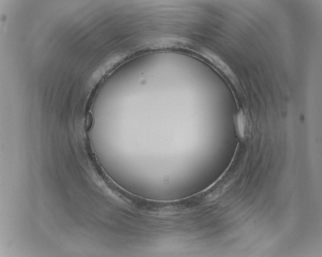 X0000074300485200609151945