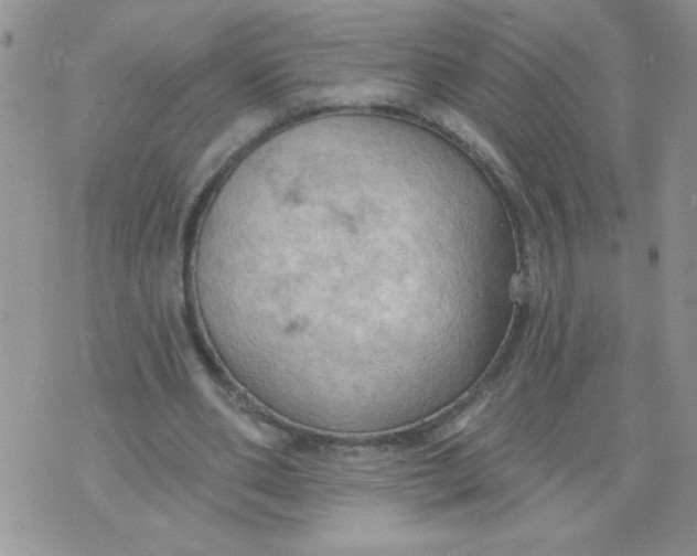 X0000074300486200609151945