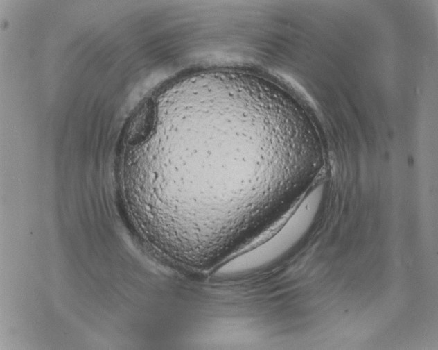 X0000074300487200609151945