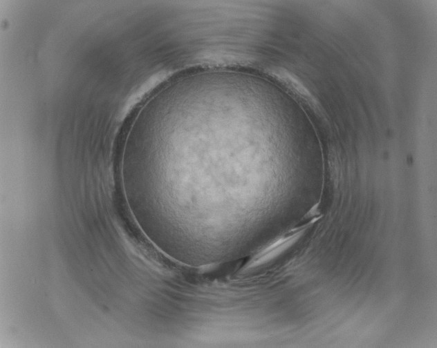 X0000074300488200609151945