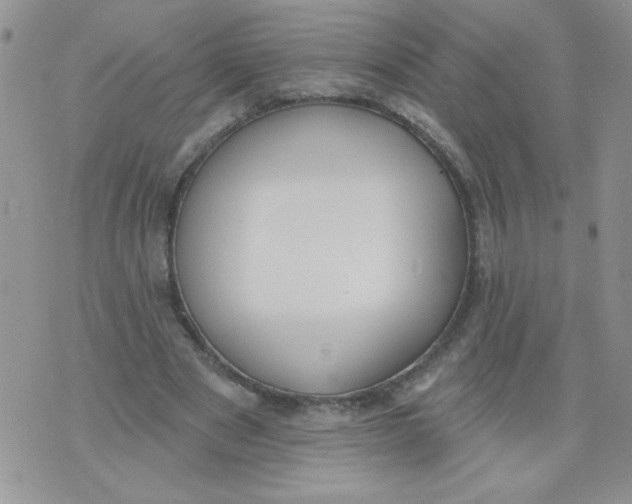 X0000074300489200609151945