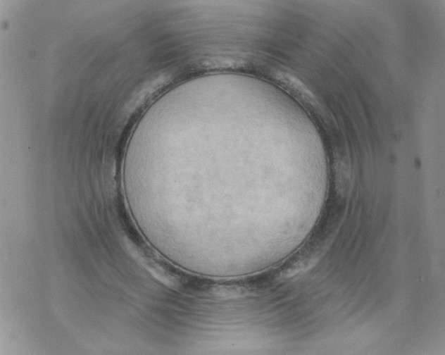 X0000074300490200609151945