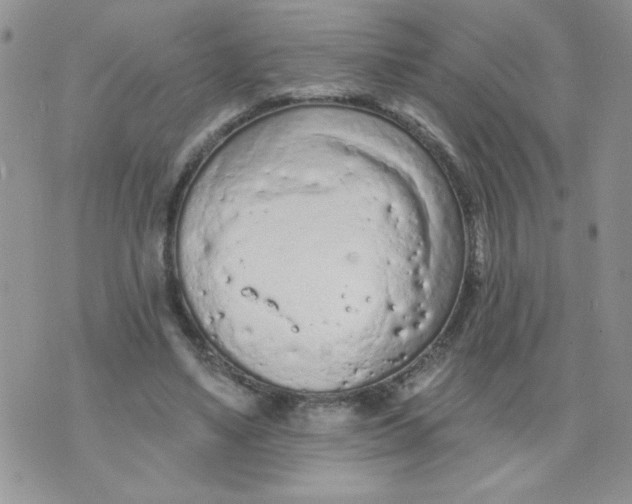 X0000074300491200609151945