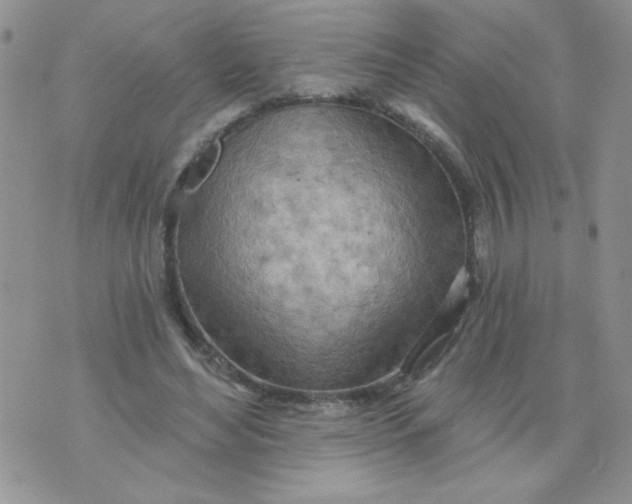 X0000074300492200609151945