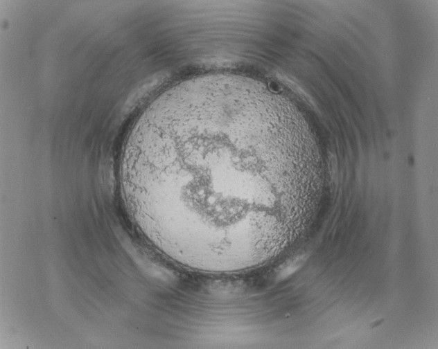 X0000074300494200609151945