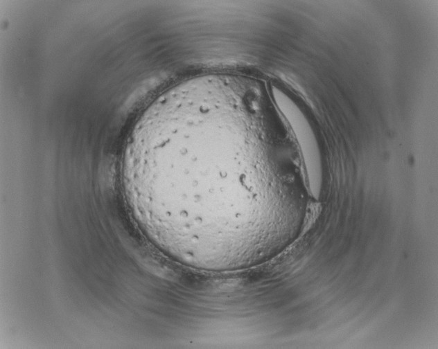 X0000074300495200609151945