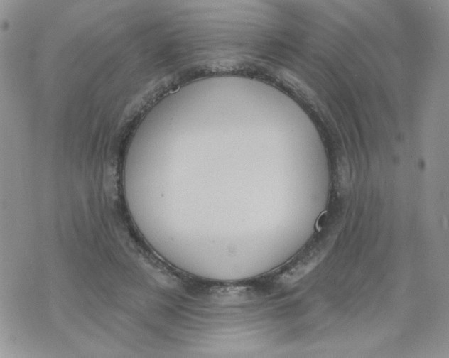 X0000074300497200609151945